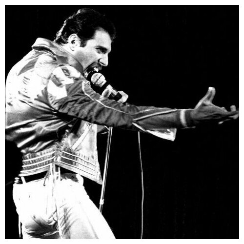 Плакат постер на бумаге Freddie Mercury/Фредди Меркури. Размер 30 х 42 см