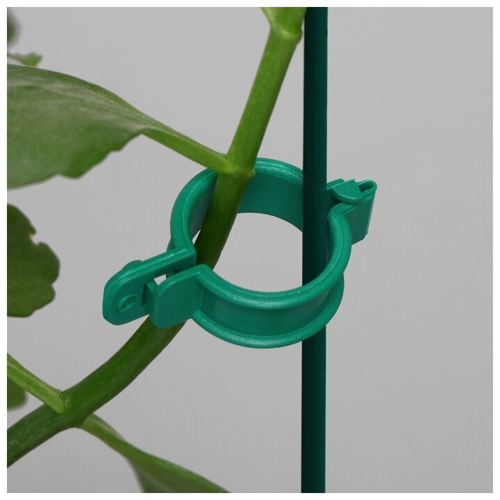 Кольцо-фиксатор для растений, d = 20 мм, набор 20 шт., зелёный - фотография № 3