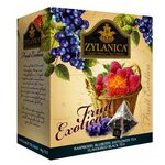 Чай черный Zylanica Fruit exotica с малиной, черникой и лепестками сафлора в пирамидках - изображение