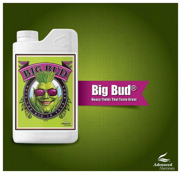 Стимулятор цветения Advanced Nutrients Big Bud Liquid, 0.5л - фотография № 3