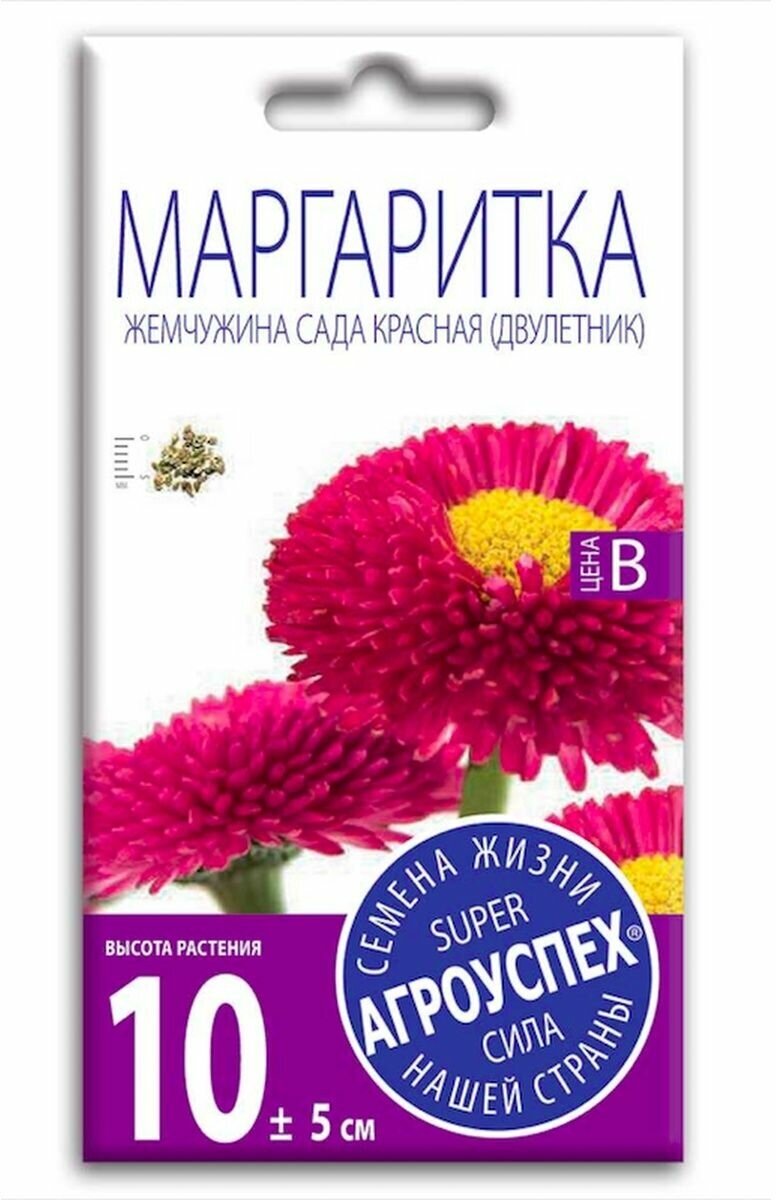 Семена Цветов Маргаритка 