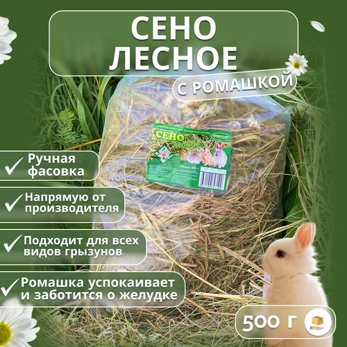 Сено для грызунов с ромашкой