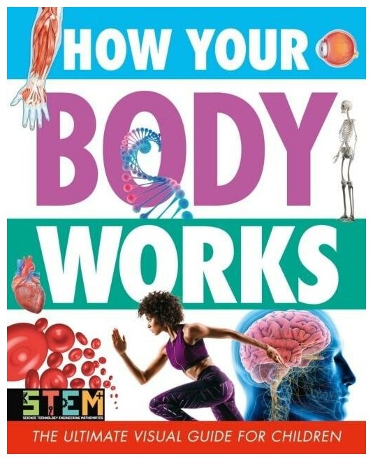 How Your Body Works. The Ultimate Visual Guide - фото №1