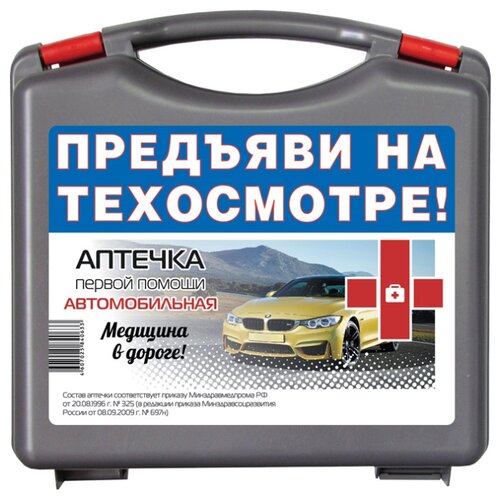 фото Аптечка автомобильная фэст муссон