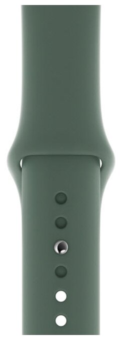 Ремешок силиконовый Pine Green Sport Band (Сосновый лес) Apple Watch 40mm (38mm; 41mm) MWUR2ZM/A