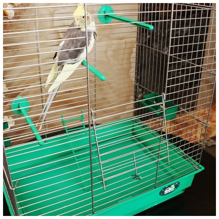 Клетка для птиц "Пижон" №101, цвет хром , укомплектованная, 41 х 30 х 65 см, зеленый микс - фотография № 7