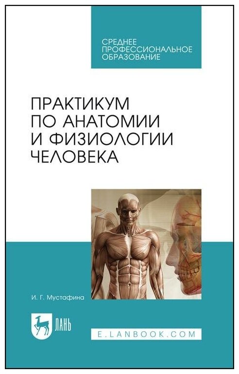 Практикум по анатомии и физиологии человека. Учебное пособие для СПО - фото №1