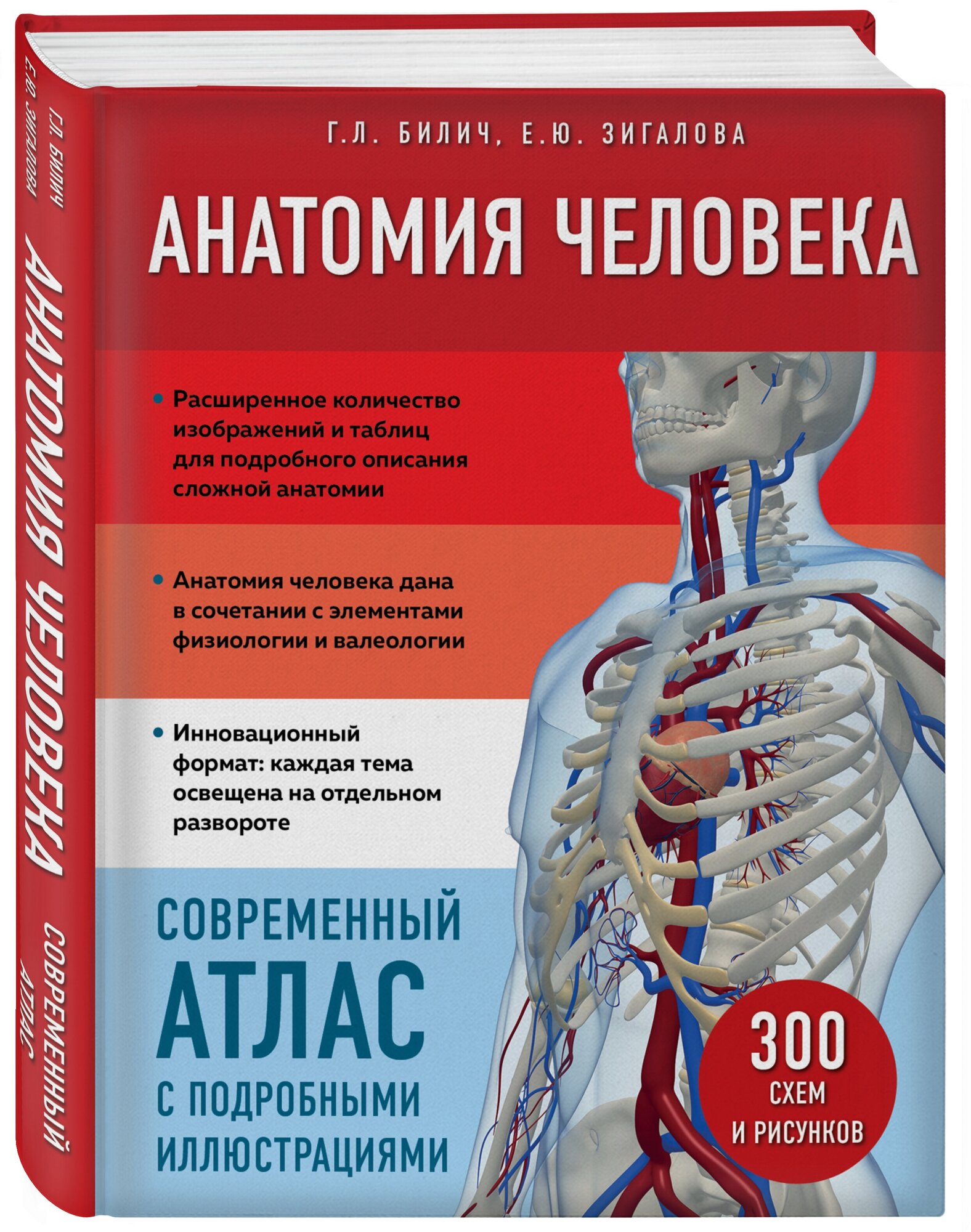 Анатомия человека Современный атлас с подробными иллюстрациями 300 схем и рисунков Книга Билич Габриэль 12+