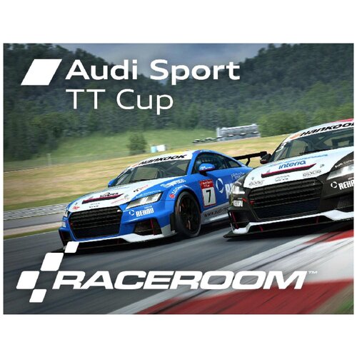 RaceRoom - Audi Sport TT Cup 2015