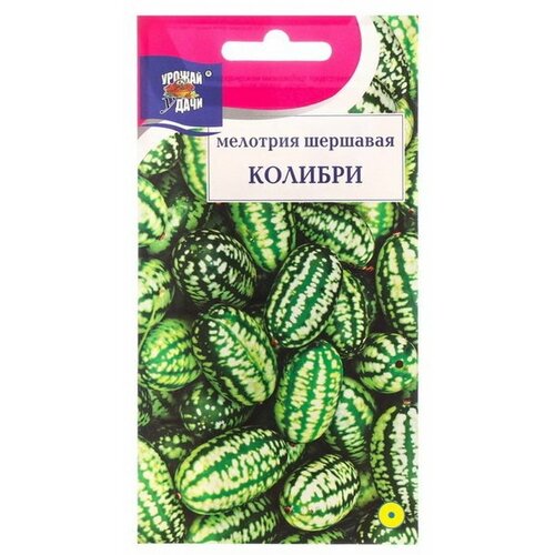 Семена Мелотрия шершавая Колибри, 0.015 г