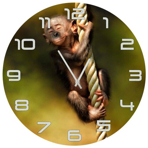 фото Настенные часы svs 4002519