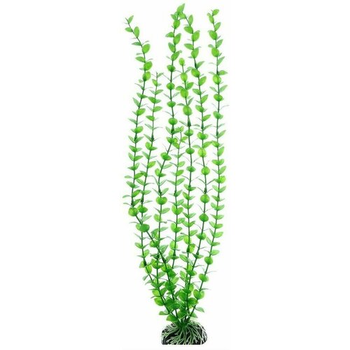 Пластиковое растение Barbus Бакопа зеленая 50 см. пластиковое растение barbus бакопа зеленая 10 см