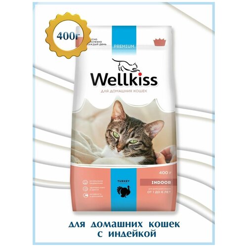 Wellkiss Корм сухой для малоподвижных домашних кошек с индейкой 1шт 400г