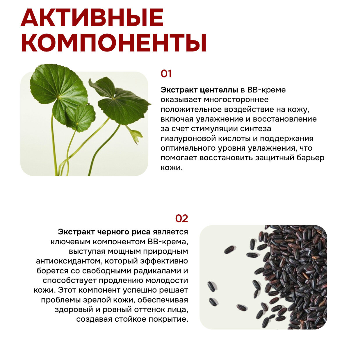 ВВ крем для лица с экстрактом чёрного риса, эффект фотошопа, тон 13, SPF 36 PA++ — фото 1