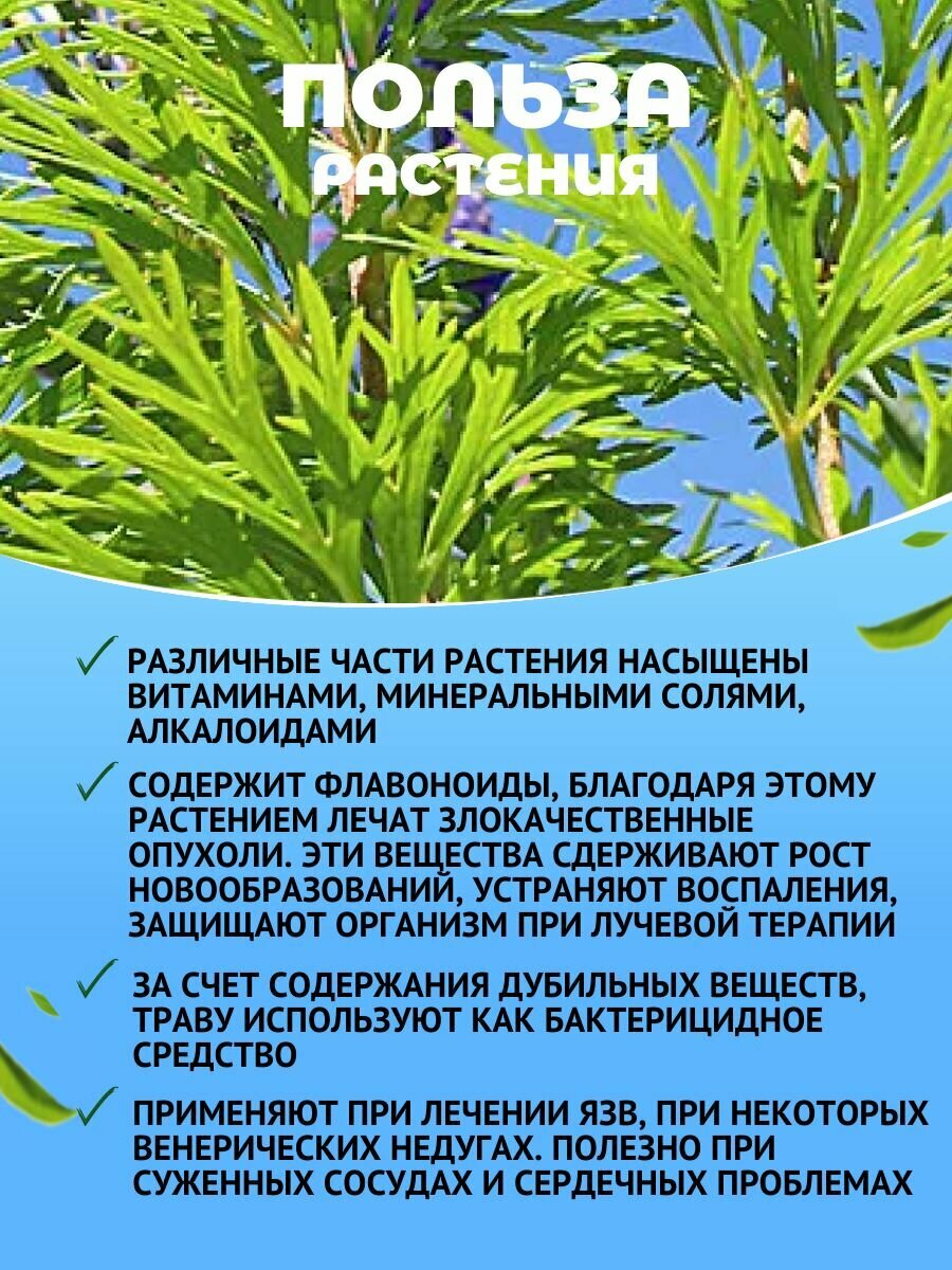 Препараты При Онкологии Специального Применения Сухое растительное сырье для приготовления горячих оздоравливающих напитков, Данила травник
