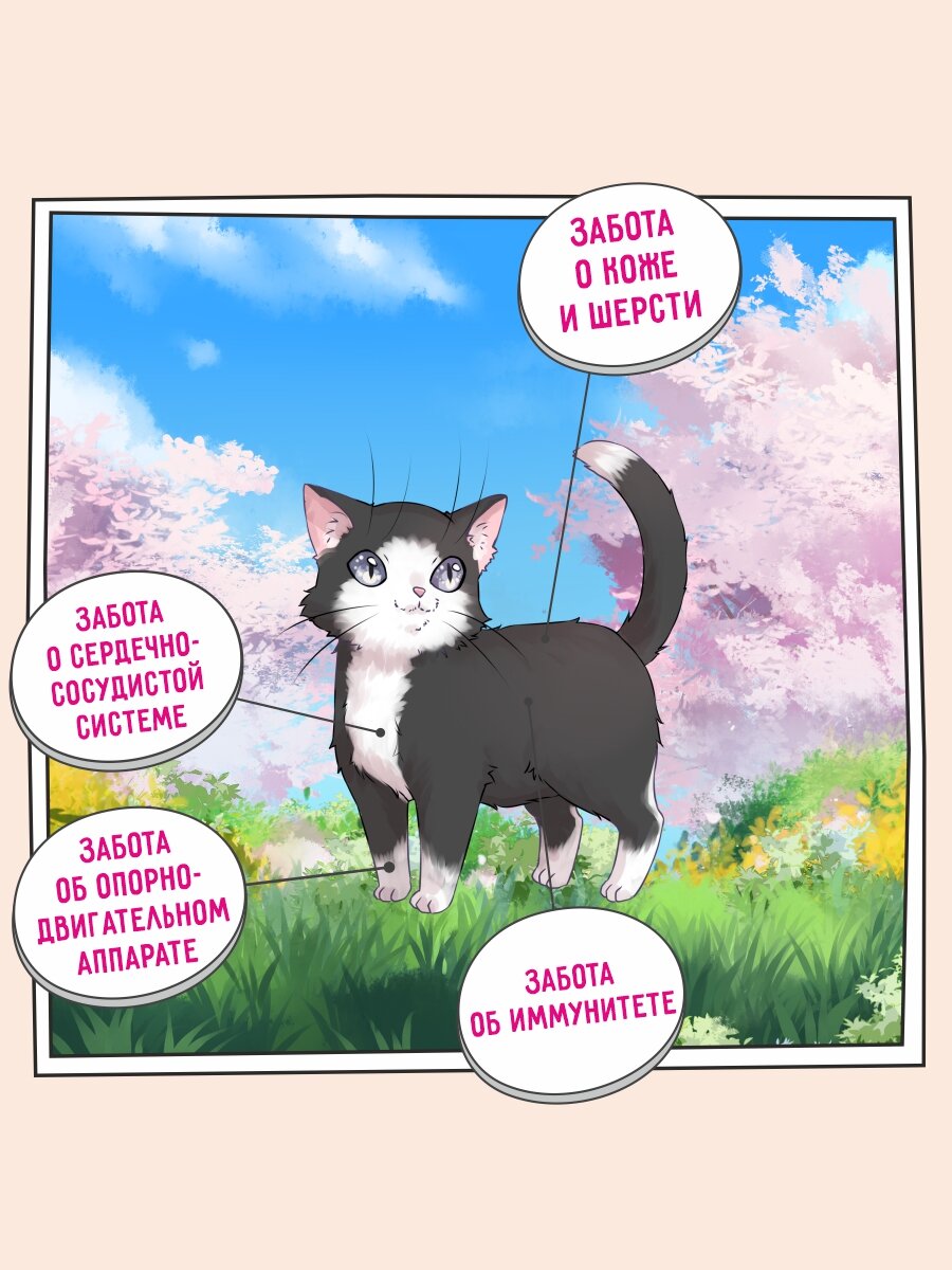 Корм для котят сухой 2 кг, гипоаллергенный ZILLII (Зилли) Kitten, Индейка с Ягнёнком — фото 1