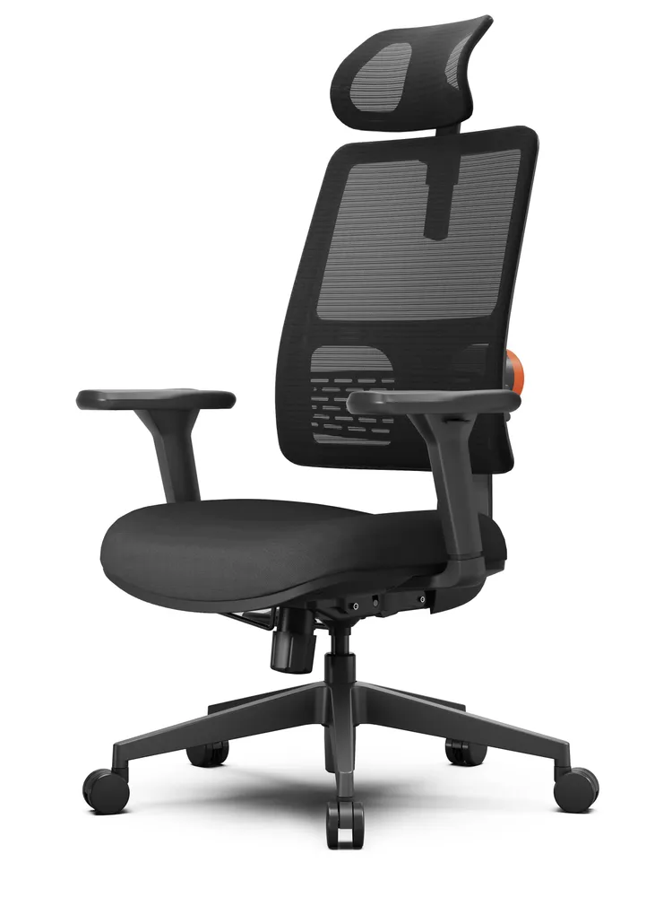 Эргономичное компьютерное кресло FoxGear NETZ модель E, черный