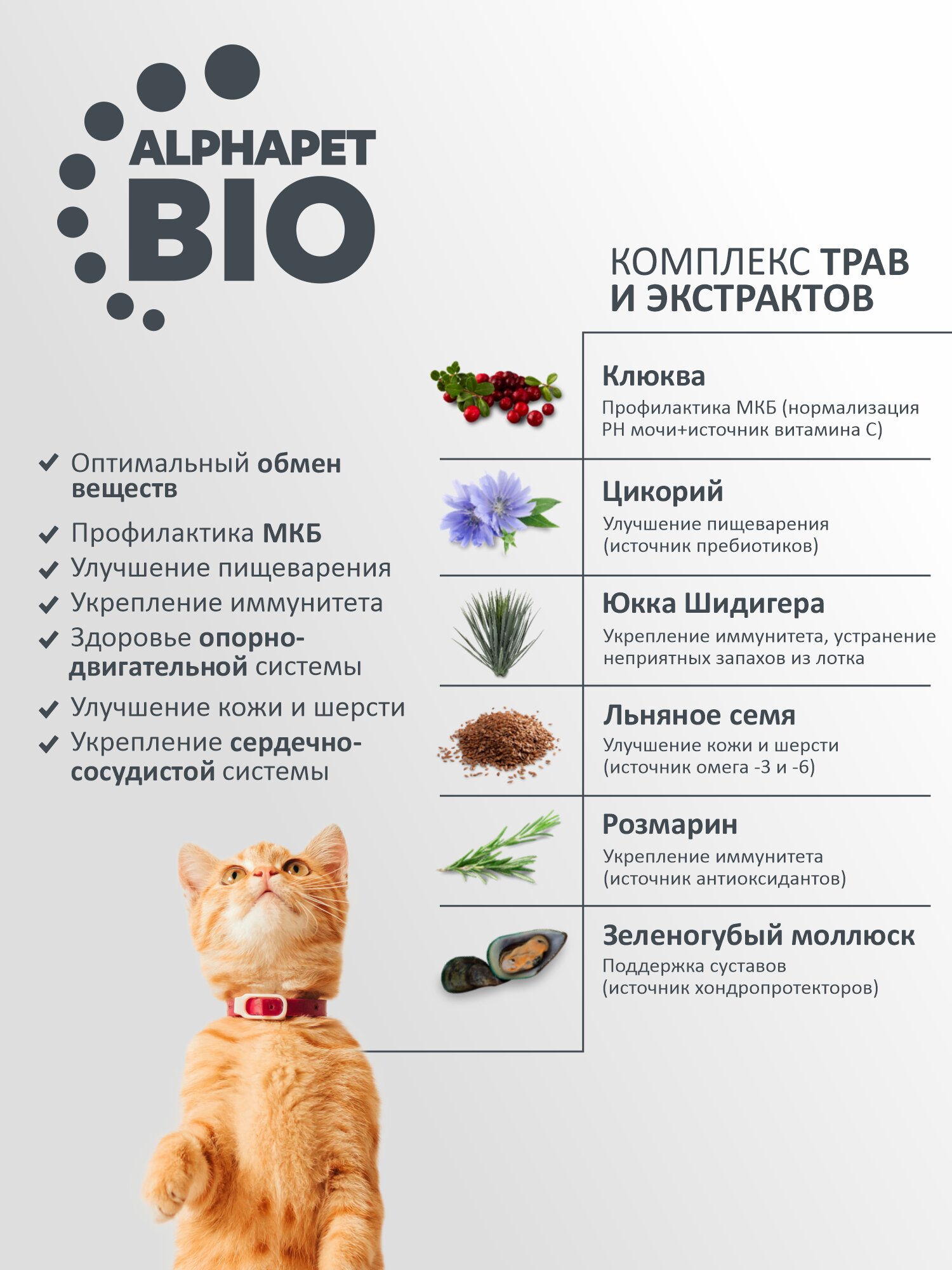 AlphaPet WOW Superpremium сухой корм для взрослых стерилизованных кошек и котов Индейка и потрошки, 350 г. — фото 1
