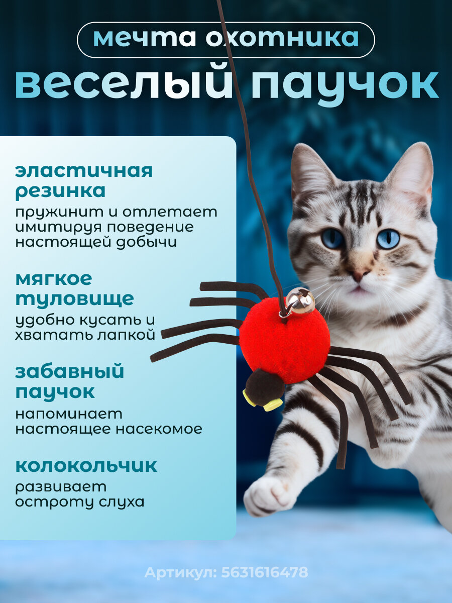 Игрушка для кошек Паучок, интерактивная дразнилка на резинке с липучкой, для котят и котов, красный — фото 1