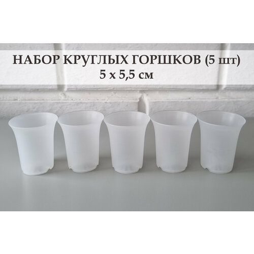 фото White garden прозрачные круглые горшки для суккулентов 5х5,5 см. набор из 5 штук