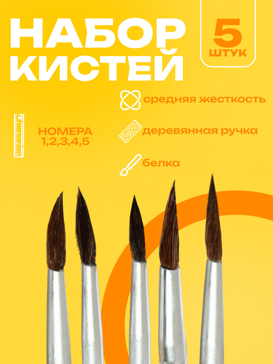 Набор кистей Calligrata "Белка", с деревянными ручками, круглые, 5шт