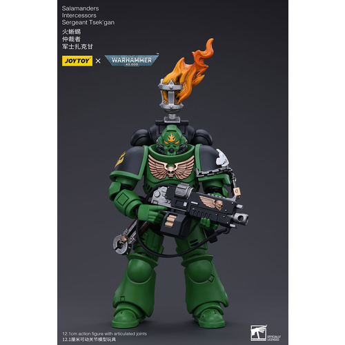 Фигурка JOYTOY Warhammer 40000 Salamanders Intercessors Sergeant Tsekgan 7012₽
