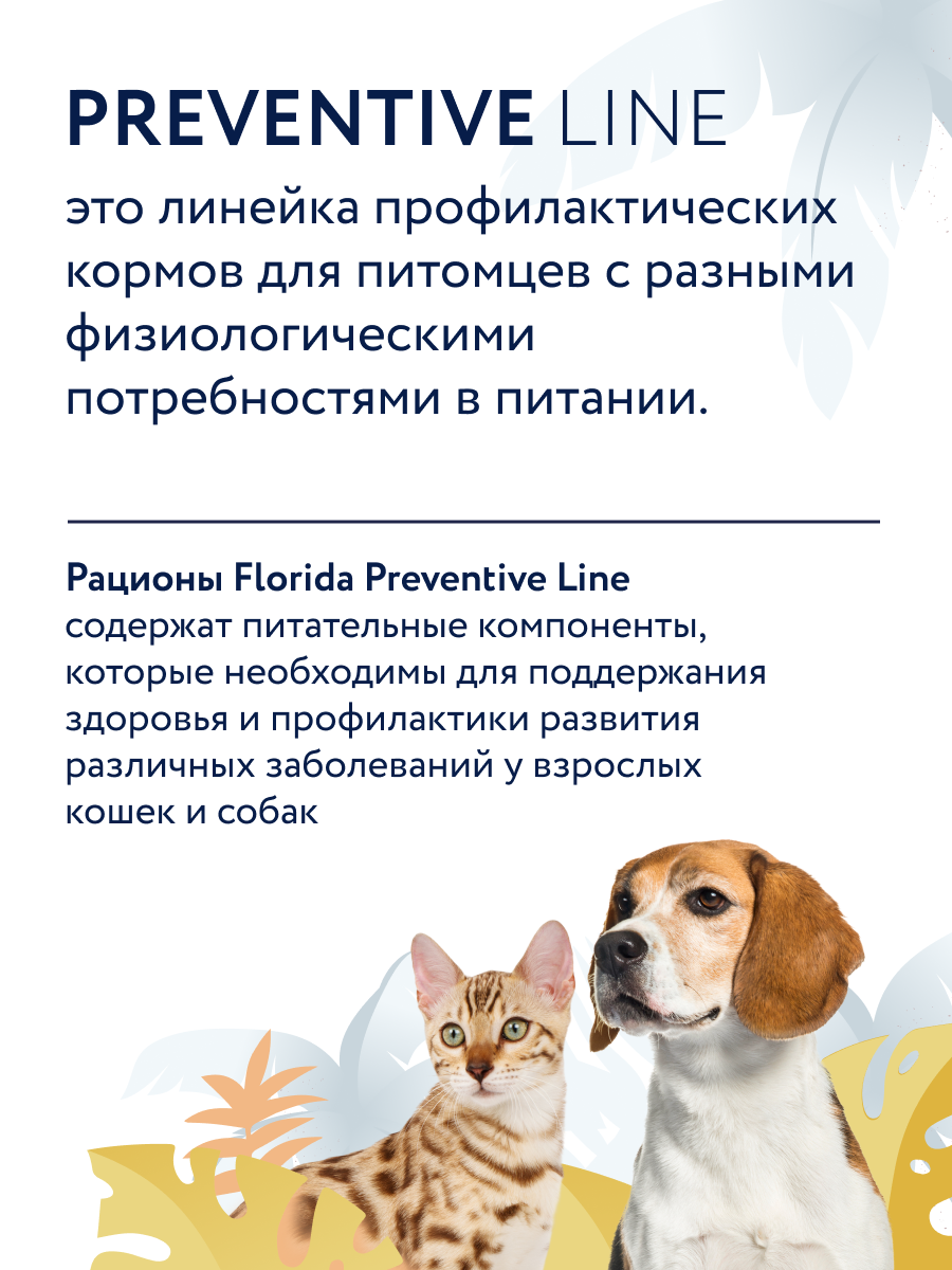 Florida Preventive Line Renal консервы для кошек при хронической почечной недостаточности (Индейка, 100 г.)
