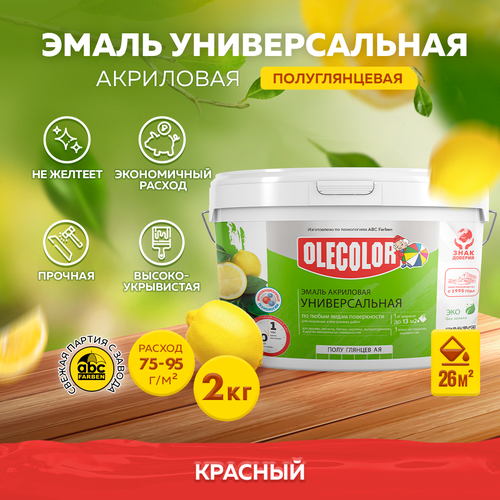 Грунт-эмаль по ржавчине 3 в 1 OLECOLOR Серебро 20 кг