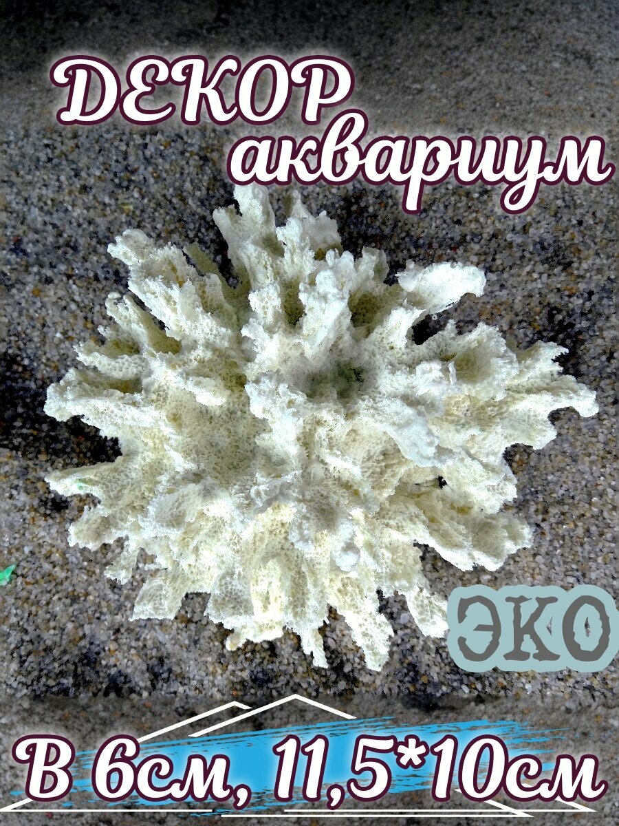 Искусственный коралл КОРАЛЛ ЭКО "Монтастрея", белый, для аквариума