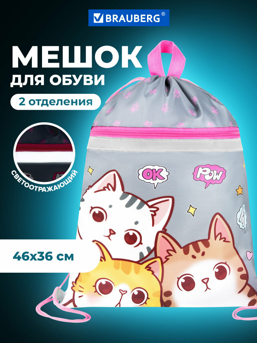 Мешок для обуви сумка для сменки в школу чехол детский плотный со светоотражающей полосой и петлей 2 отделения 46х36 см Brauberg 273449