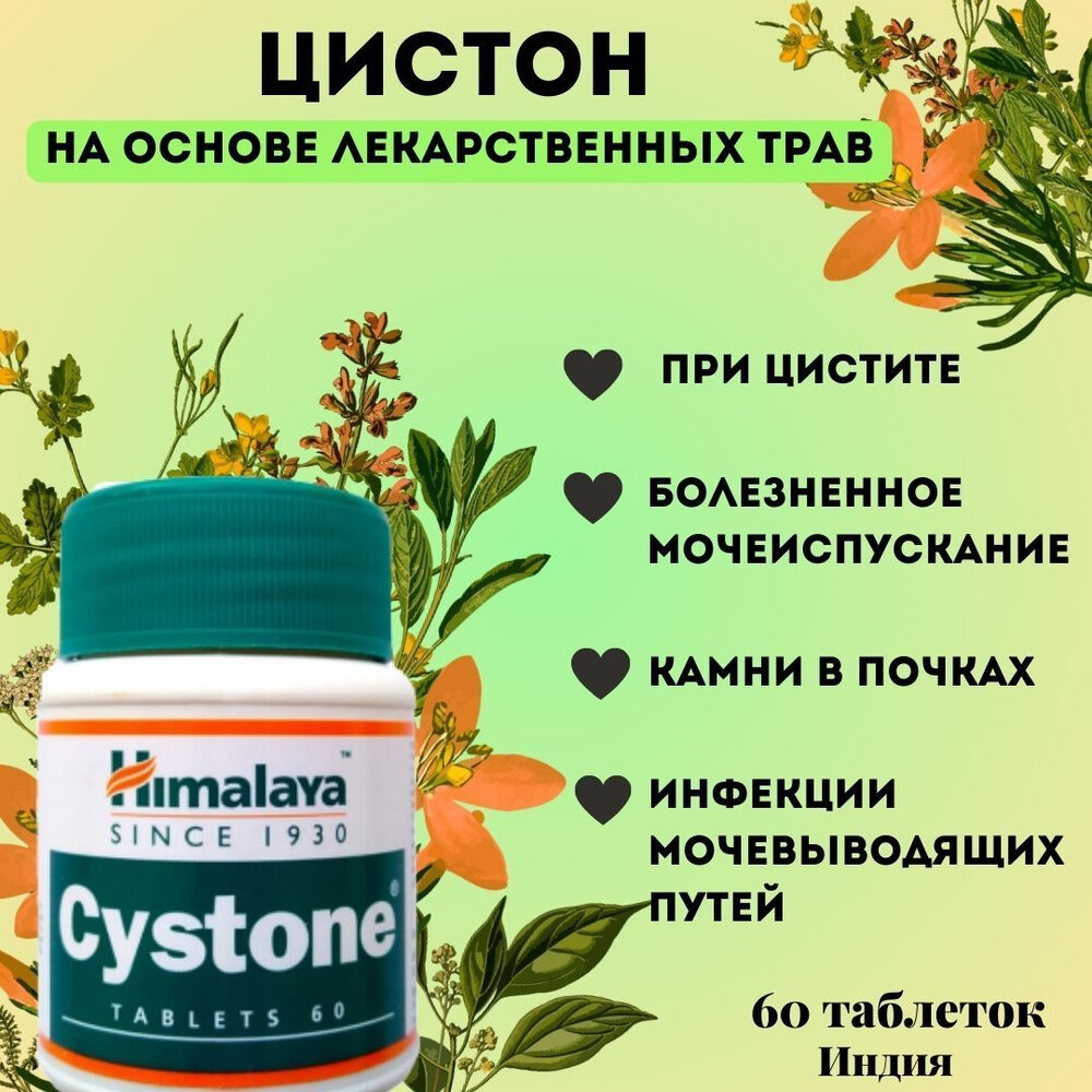 Картинки Цистон Хималая / Cystone Himalaya / индийские травы лечение мочеполовой системы