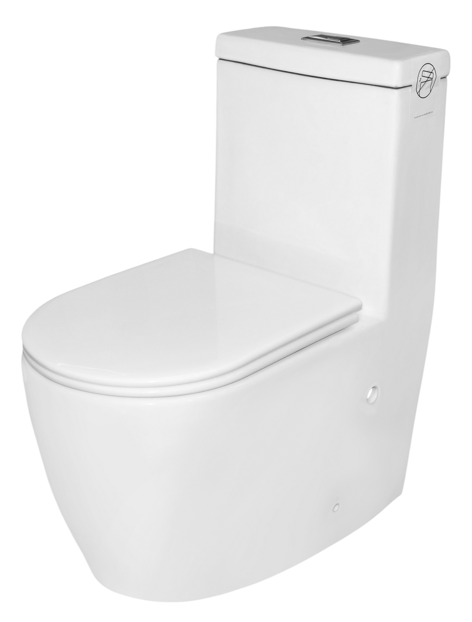 Унитаз-монолит SLS ТС-7001 650x365x790 мм