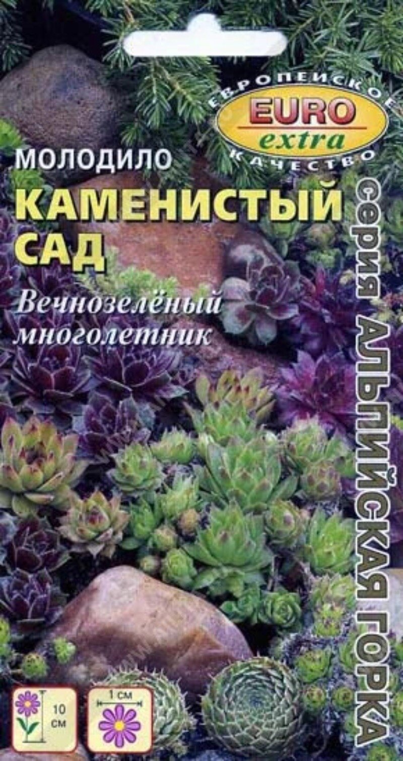 Семена Молодило Каменистый сад смесь (0005 г) Агрофирма Аэлита