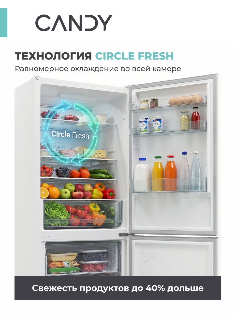 Холодильник двухкамерный Candy No Frost Plus+ CCRN6180W, полный no frost, полезный объём 334 л, Класс А, LED-освещение — фото 1
