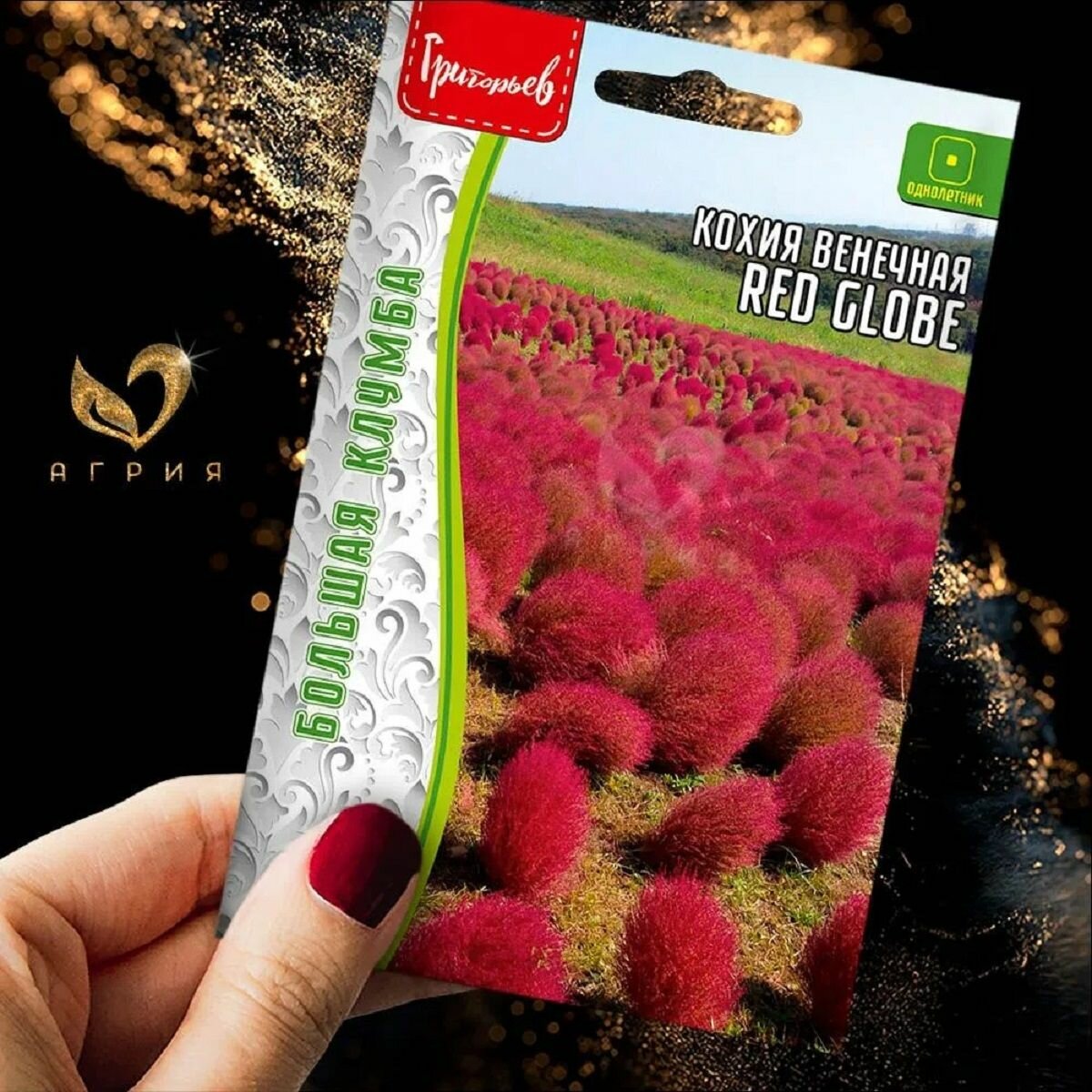 Кохия венечная Red Globe 01 г / Редкие растения