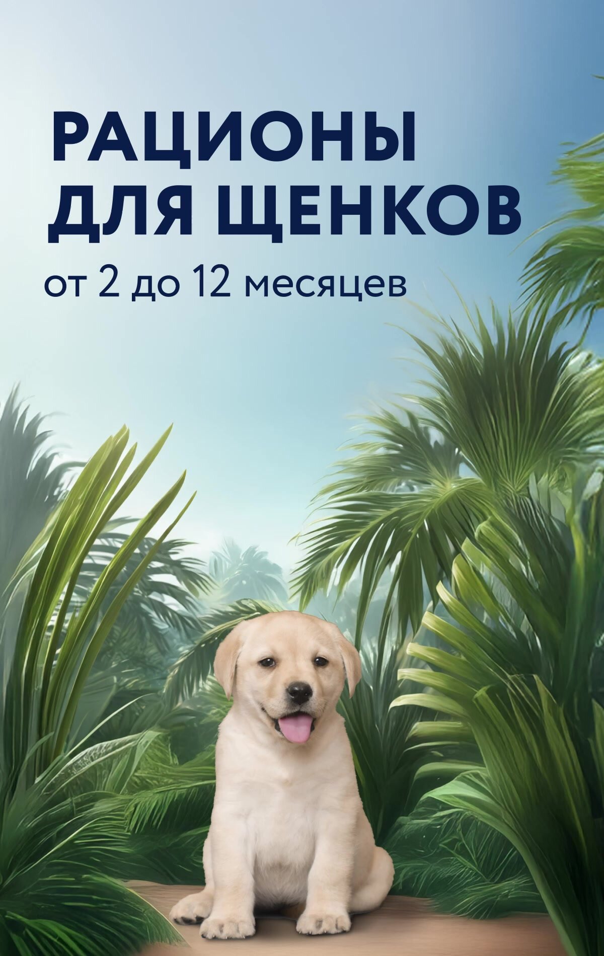FLORIDA Консервы для щенков "Ягненок с черникой", Влажный корм, 6 шт. по 400 гр. — фото 1