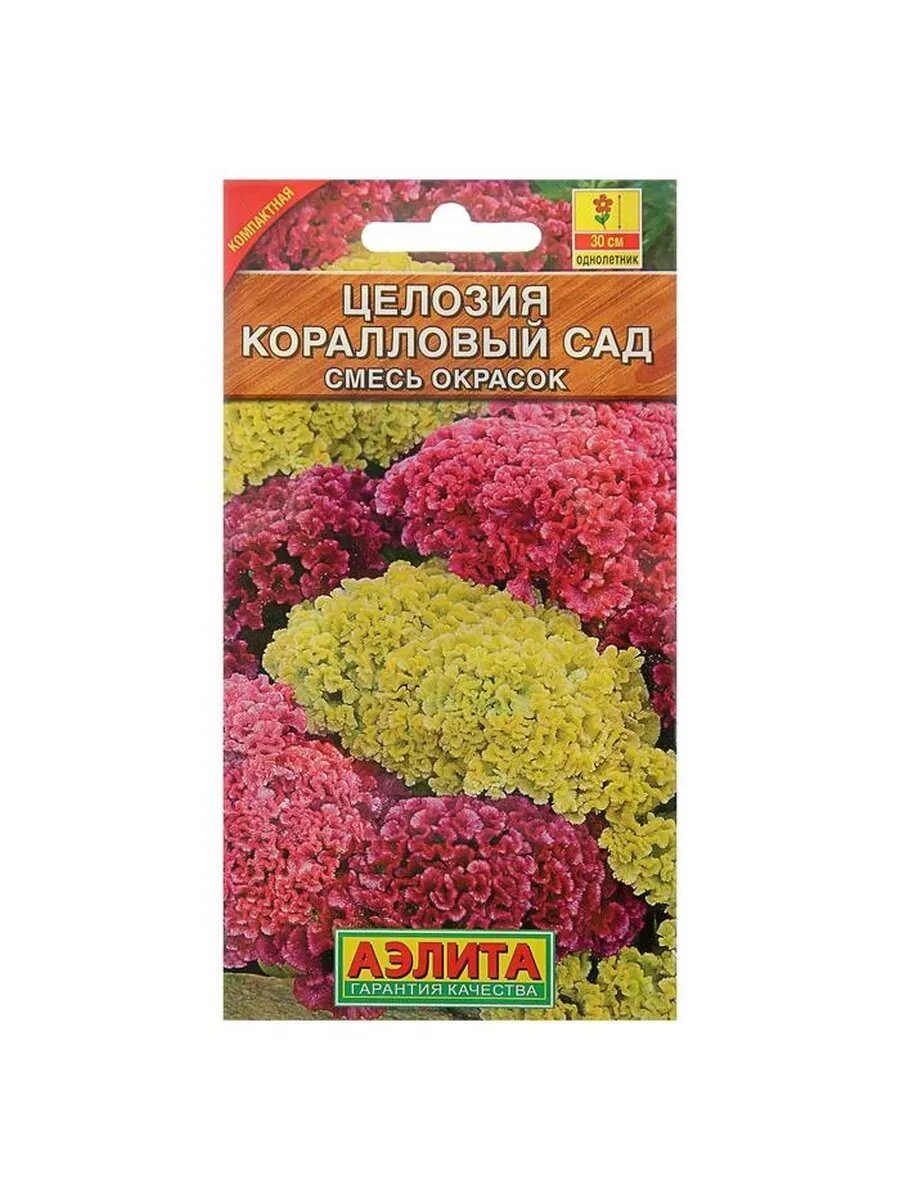 8 упак Семена цветов Целозия гребенчатая 
