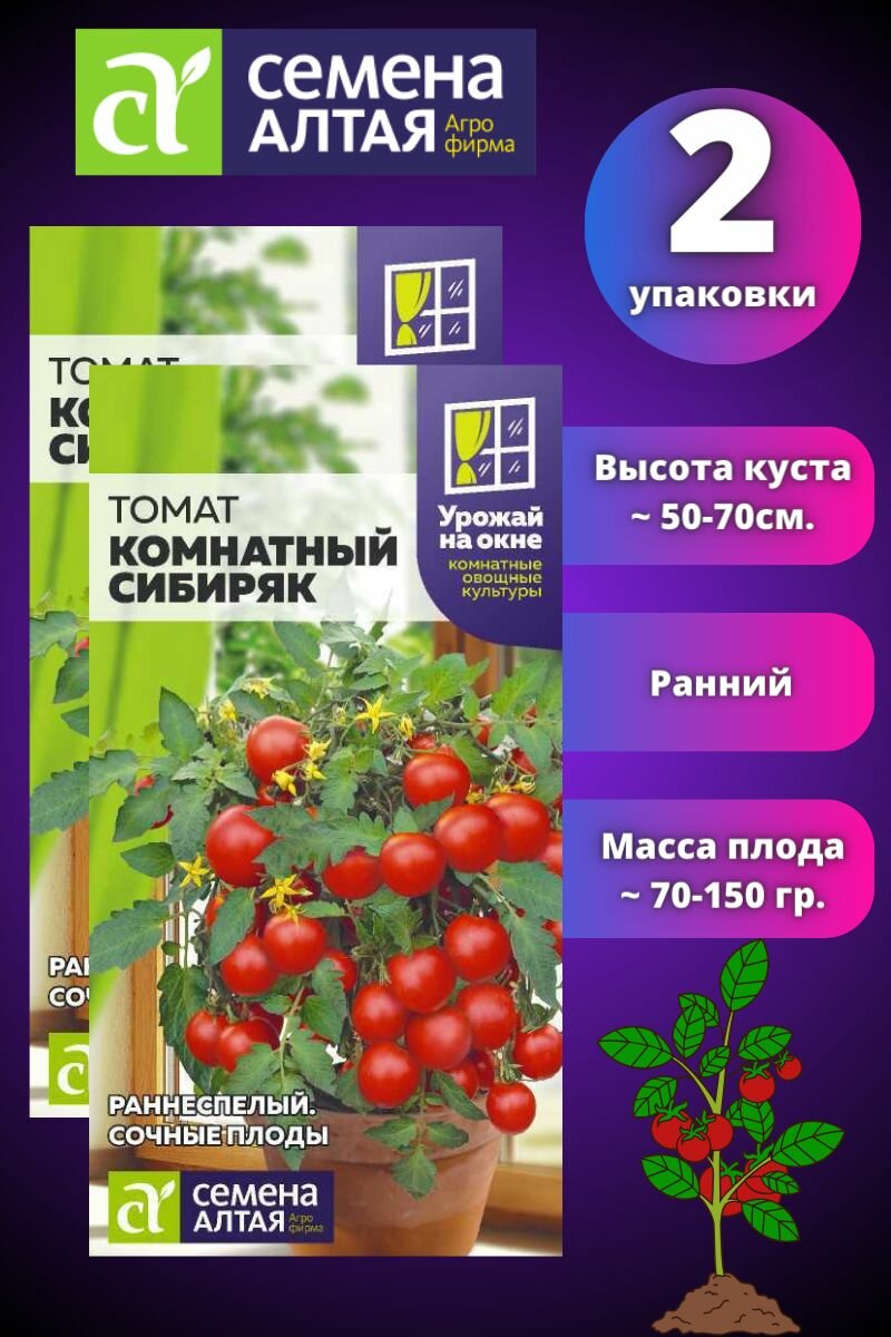 Томат Комнатный Сибиряк Черри 2 шт Семена Алтая на Окне