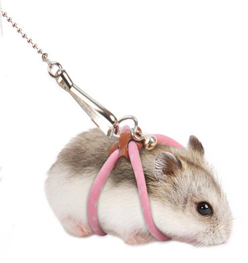 Ремень / привод грызунов