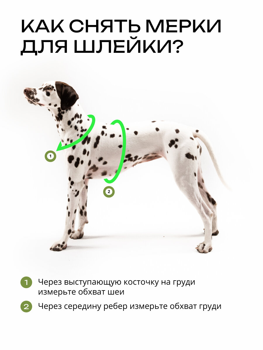Шлейка для собак средних и крупных пород анатомическая размер L, хаки, PRO COMFORT — фото 1