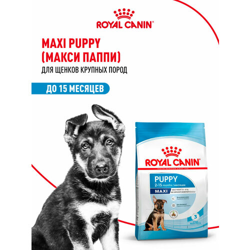 Сухой корм для щенков Royal Canin Maxi Puppy для крупных пород, 15 кг