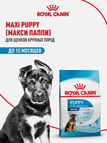 Изображение товара Сухой корм для щенков Royal Canin Maxi Puppy для крупных пород, 15 кг