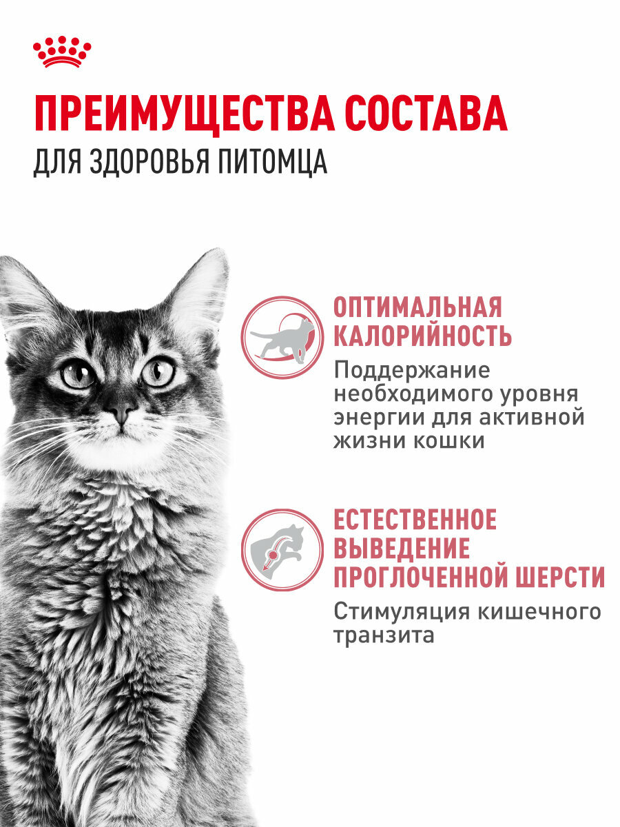 Сухой корм для умеренно активных кошек Royal Canin Fit 32, 2 кг — фото 1