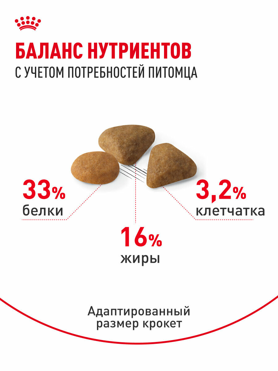 Сухой корм для кошек Royal Canin Savour Exigent для привередливых, 0,2 кг — фото 1