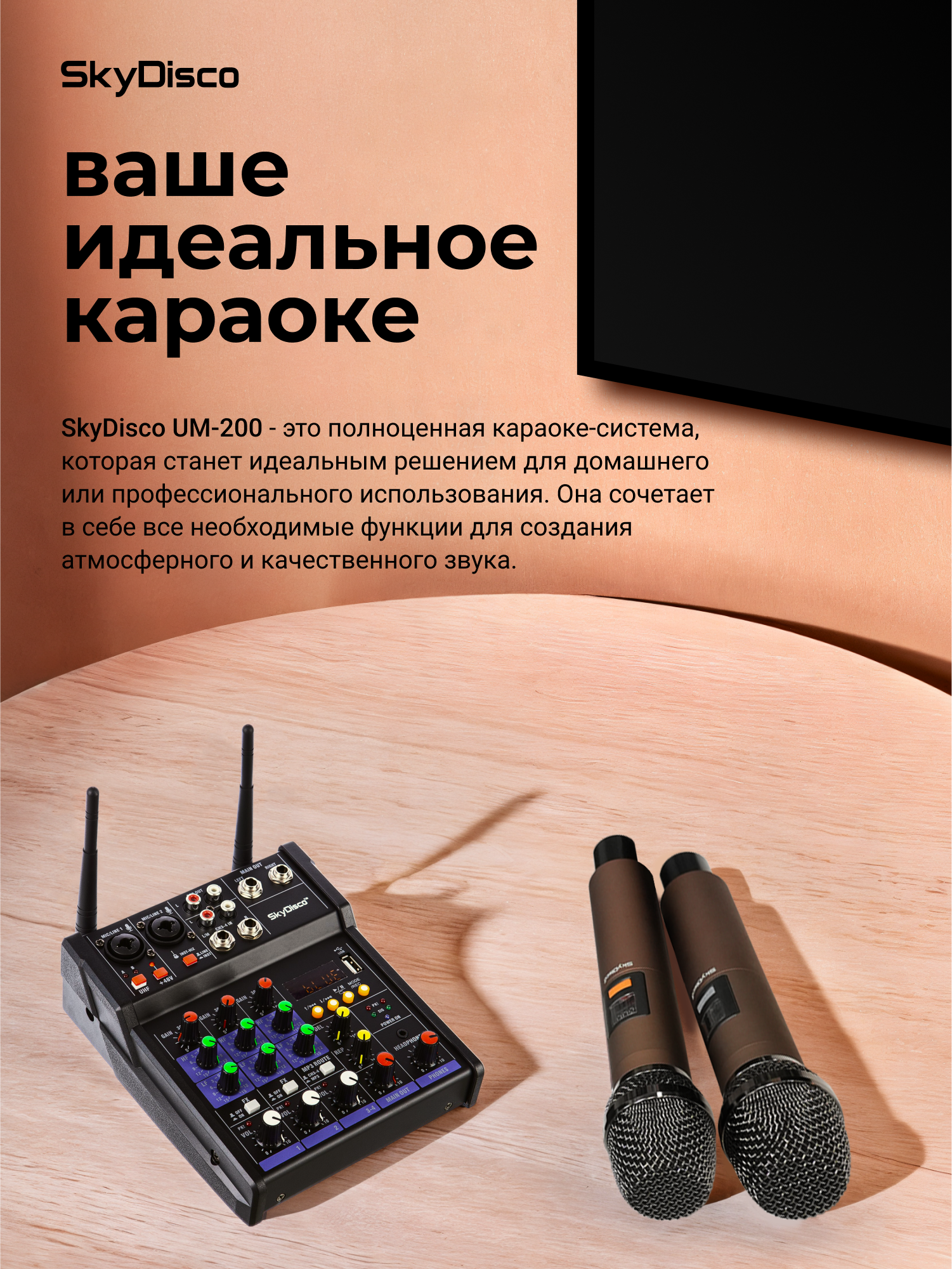 Караоке-микшер с микрофонами SkyDisco UM-200 Bluetooth — фото 1