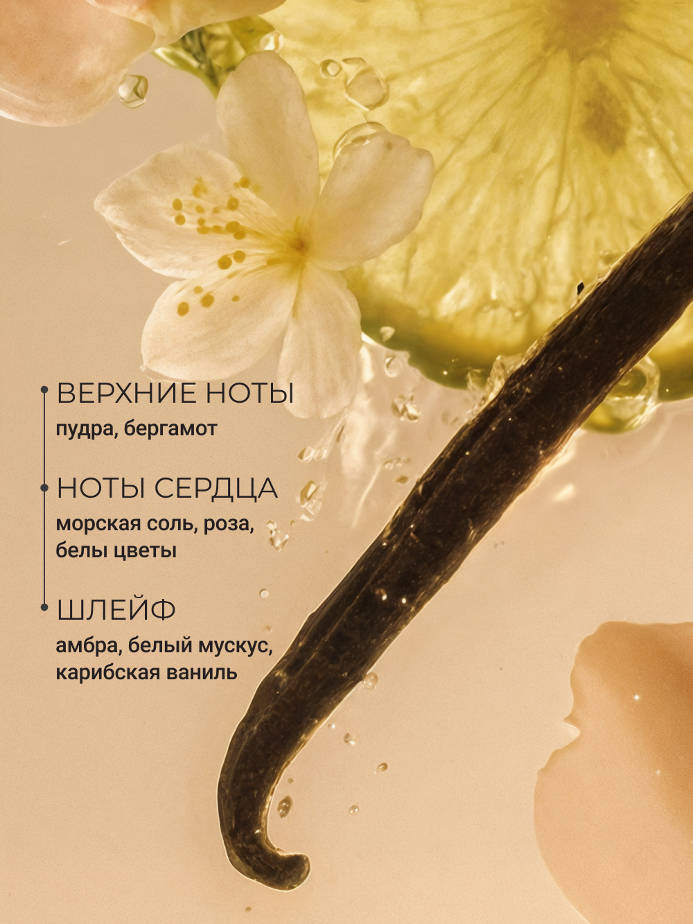 ZEITUN Скраб для тела питательный с маслами для всех типов кожи, с ароматом розы, 250 мл — фото 1