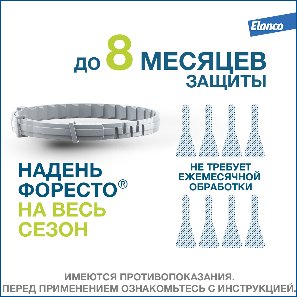 Ошейник Форесто (Elanco) от клещей и блох для собак до 8кг — фото 1