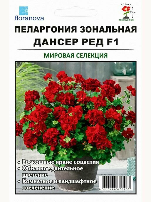 Пеларгония Дансер Ред F2 5 шт (мировая селекция)