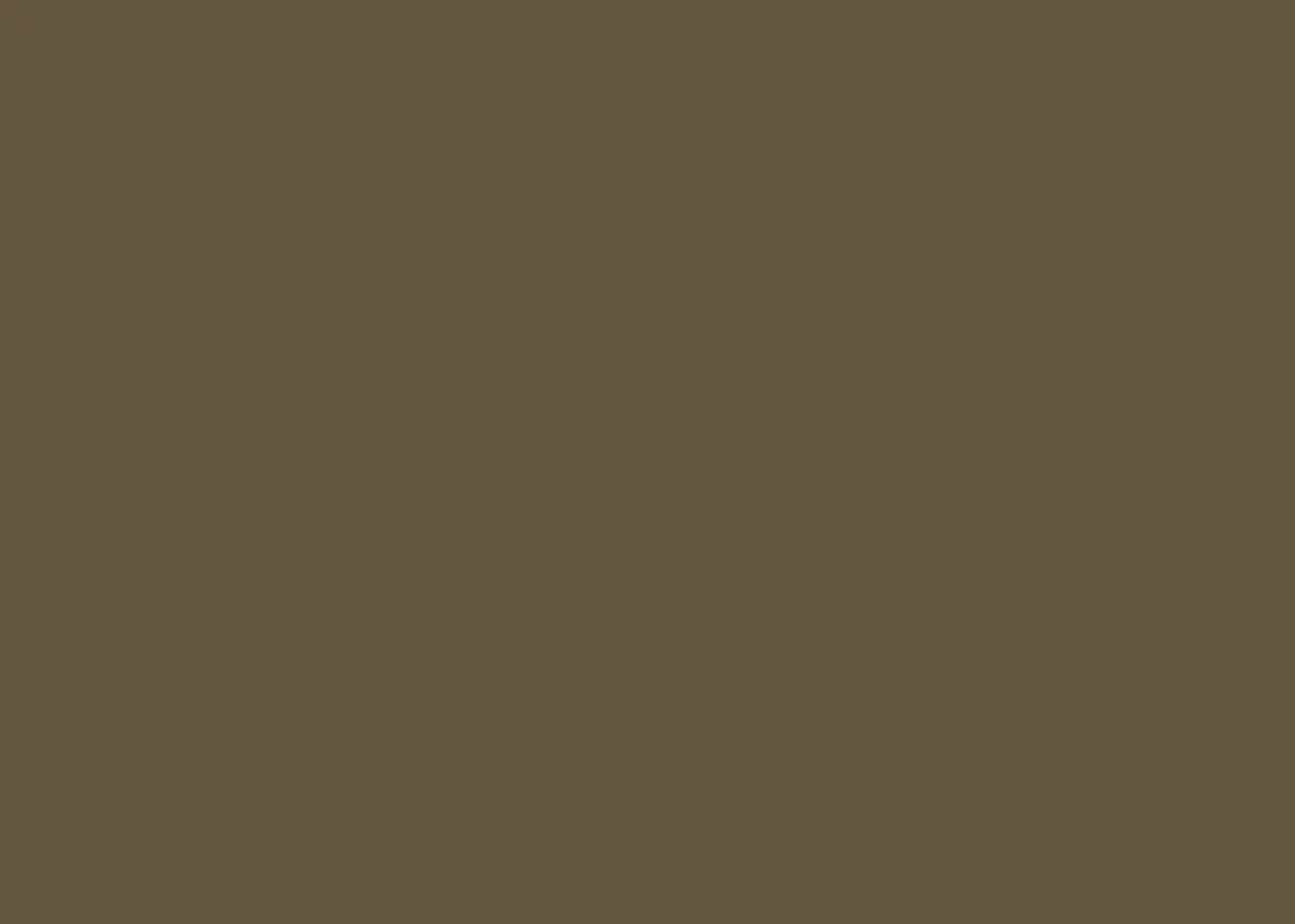 2023 Пленка самоклеящаяся однотонный коричневый Color Decor (0.45*8м)