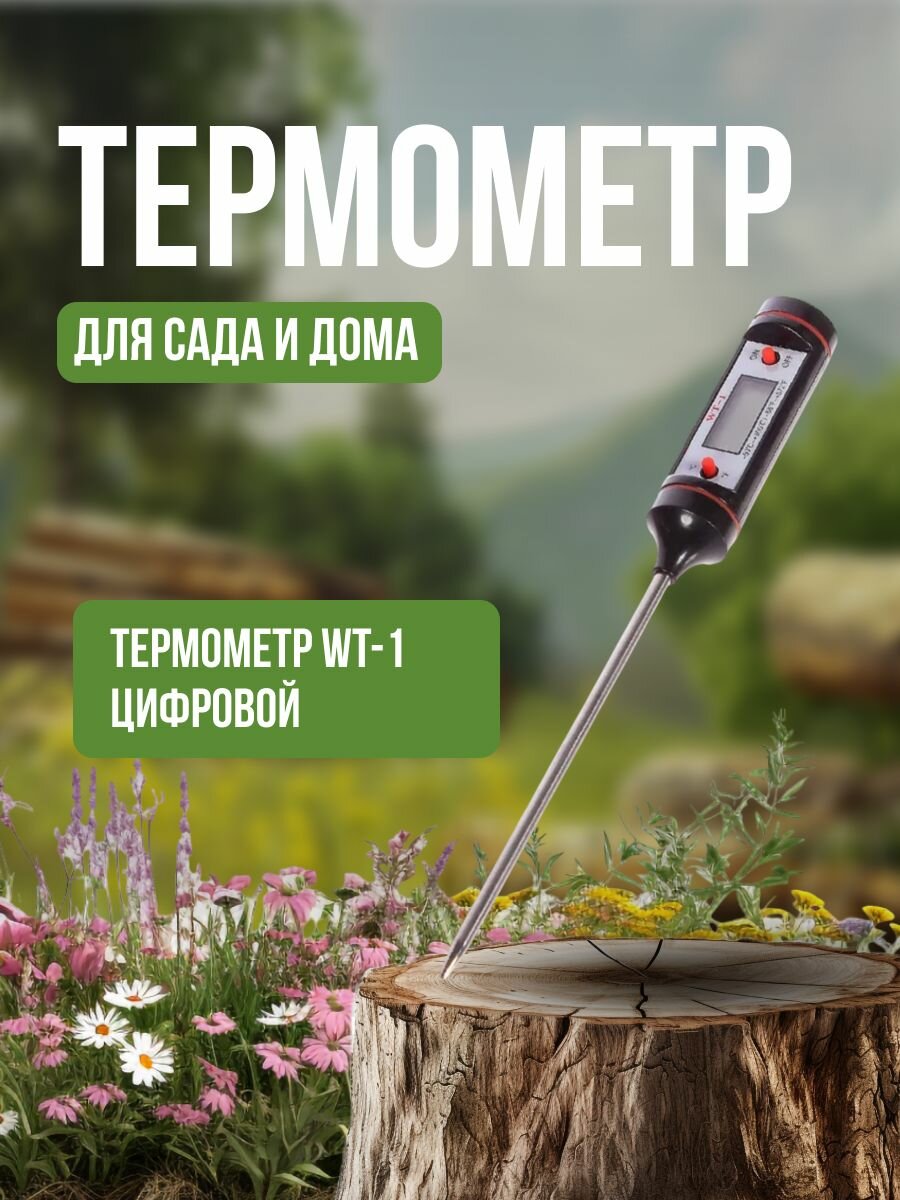 Термометр WT-1 цифровой